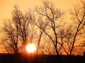 Springtime sunset in a blaze of orange colored sky