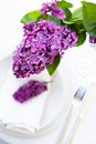 Springtime table setting with lilac branch on white linen napkin Royalty Free Stock Photo