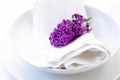 Springtime table setting with lilac branch on white linen napkin Royalty Free Stock Photo