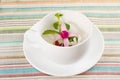 Springtime Tea Royalty Free Stock Photo