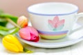 Springtime tea Royalty Free Stock Photo