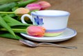 Springtime tea Royalty Free Stock Photo