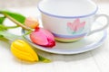 Springtime tea Royalty Free Stock Photo