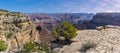 Springtime trees overlooking Maricopa Point on the South rim of the Grand Canyon, Arizona