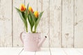 Springtime, tulips potted flowers in watering can on wooden