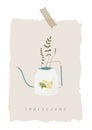 Springtime vector illustration of watering can with mimosa flower on it
