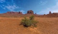 Springtime vegetation in front of a view of Monument Valley tribal park
