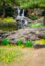 Springtime view at Hallim Park of Jeju island