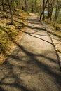 Springtime View of A Handicap Accessible Walking Path Royalty Free Stock Photo