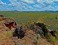 Happy High Desert Sunshine Royalty Free Stock Photo