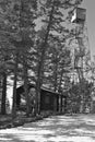 Springtime visits Strawberry Butte Lookout Tower