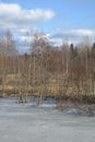 Springtime Wetland Forest. Early Spring With Melting Ice And Snow Royalty Free Stock Photo