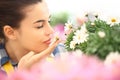 Springtime, woman in garden of daisies flowers Royalty Free Stock Photo