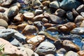 Springwater flow on the small pebbles on a sunny day with bright reflections