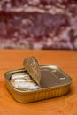 Springwater Sardines in a Tin Royalty Free Stock Photo