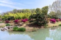 A springy hillside on the water's edge