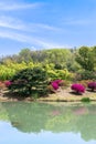 A springy hillside on the water's edge