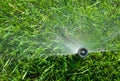 Sprinkler of automatic watering