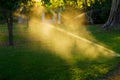 Sprinkler of automatic watering grass