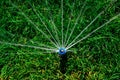 Automatic lawn sprinkler watering green grass Royalty Free Stock Photo