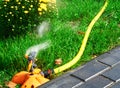 Sprinkler head of automatic watering the bush, grass and lawn. Spraying water over green grass. Irrigation system Royalty Free Stock Photo