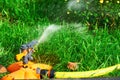 Sprinkler head of automatic watering the bush, grass and lawn. Spraying water over green grass. Irrigation system Royalty Free Stock Photo