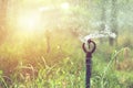 Sprinkler head watering in agricultural plants. Royalty Free Stock Photo