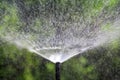 Sprinkler head watering bush and grass in garden Royalty Free Stock Photo
