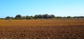 sprinkler irrigation system on the field. Cultivation of agricultural crops Royalty Free Stock Photo