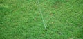 Sprinkler spraying fresh wet water on lush green yard lawn grass Royalty Free Stock Photo