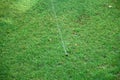 Sprinkler spraying fresh wet water on lush green yard lawn grass Royalty Free Stock Photo