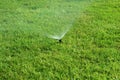 Sprinkler spraying water on grass Royalty Free Stock Photo