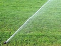 Sprinkler spraying water on grass Royalty Free Stock Photo