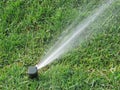 Sprinkler spraying water on grass Royalty Free Stock Photo