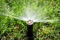 Sprinkler Spraying Water on Lush Green Lawn Yard Royalty Free Stock Photo