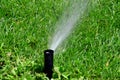 Sprinkler Spraying Water on Lush Green Lawn Yard Royalty Free Stock Photo