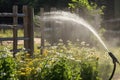 sprinkler spraying water onto blooming garden, with wooden fence in the background