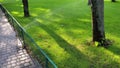 Sprinkler spraying water to green grass lawn. Automatic watering system in park