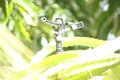 Sprinkler system, irrigation system in cultivation Royalty Free Stock Photo