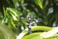 Sprinkler system, irrigation system in cultivation Royalty Free Stock Photo