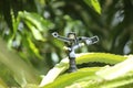 Sprinkler system, irrigation system in cultivation Royalty Free Stock Photo