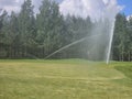 sprinkler system watering the green grass on a golf course in the summer Royalty Free Stock Photo