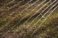 Sprinkler watering the soil with sprouting grass Royalty Free Stock Photo