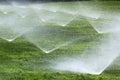 Sprinklers on a green lawn Royalty Free Stock Photo