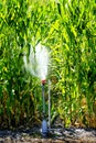 Sprinklers Irrigating Corn Crop Field Farming Grains Royalty Free Stock Photo