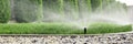 Sprinklers watering grass, green lawn in garden Royalty Free Stock Photo