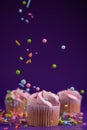 Sprinkles raining down on a pink mini cupcake Royalty Free Stock Photo