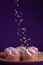 Sprinkles raining down on a plate of pink mini cupcake Royalty Free Stock Photo