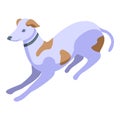 Sprint dog icon isometric vector. Pet animal