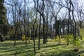 Sprintime in the Herastrau Park, Bucharest City, Romania Royalty Free Stock Photo